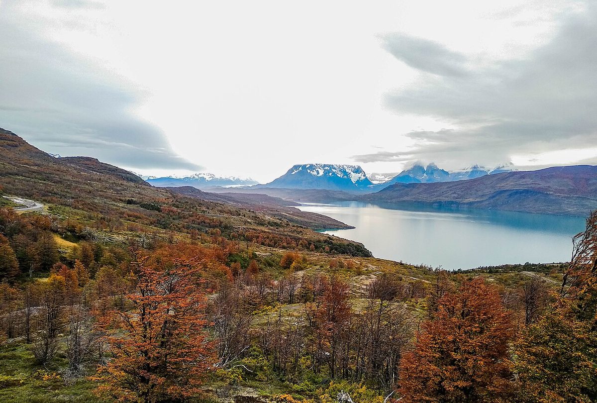 Autumn colors and granite towers in Torres del Paine National Park
