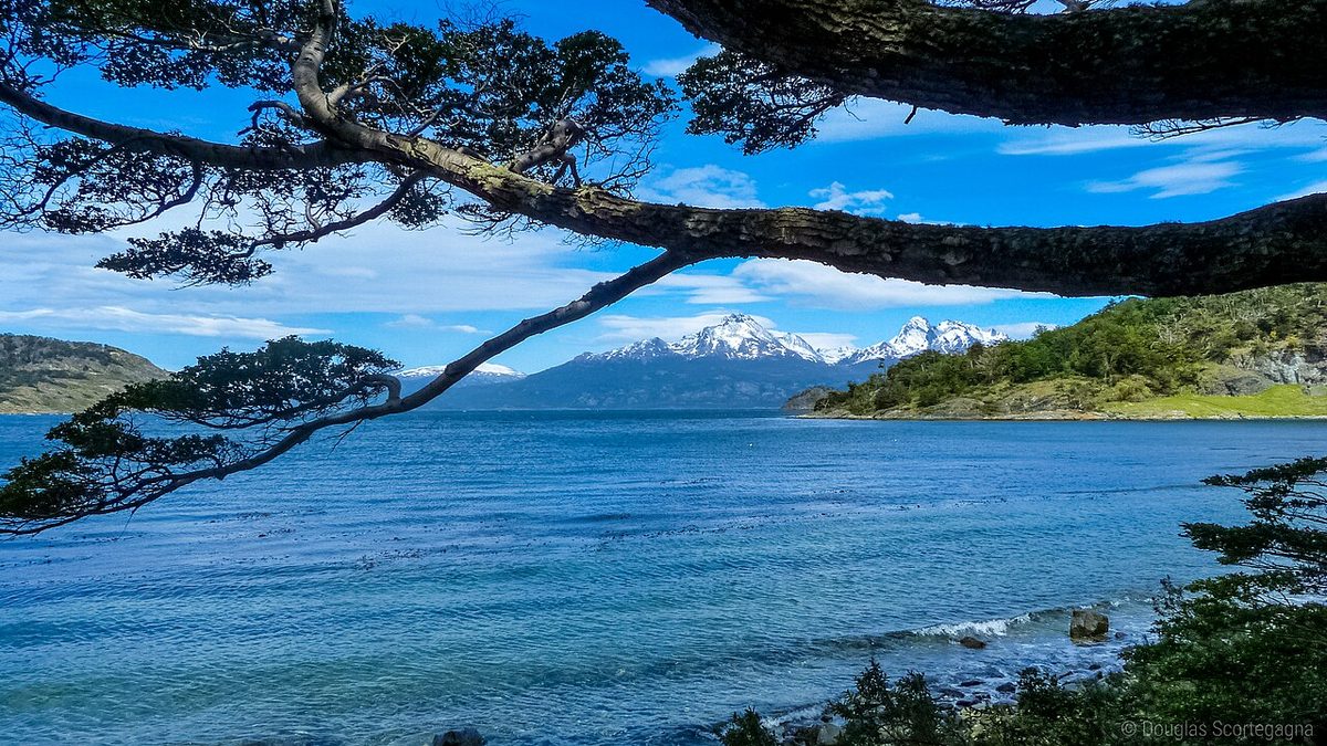 Snowy winter landscape around Ushuaia and the Beagle Channel in Tierra del Fuego