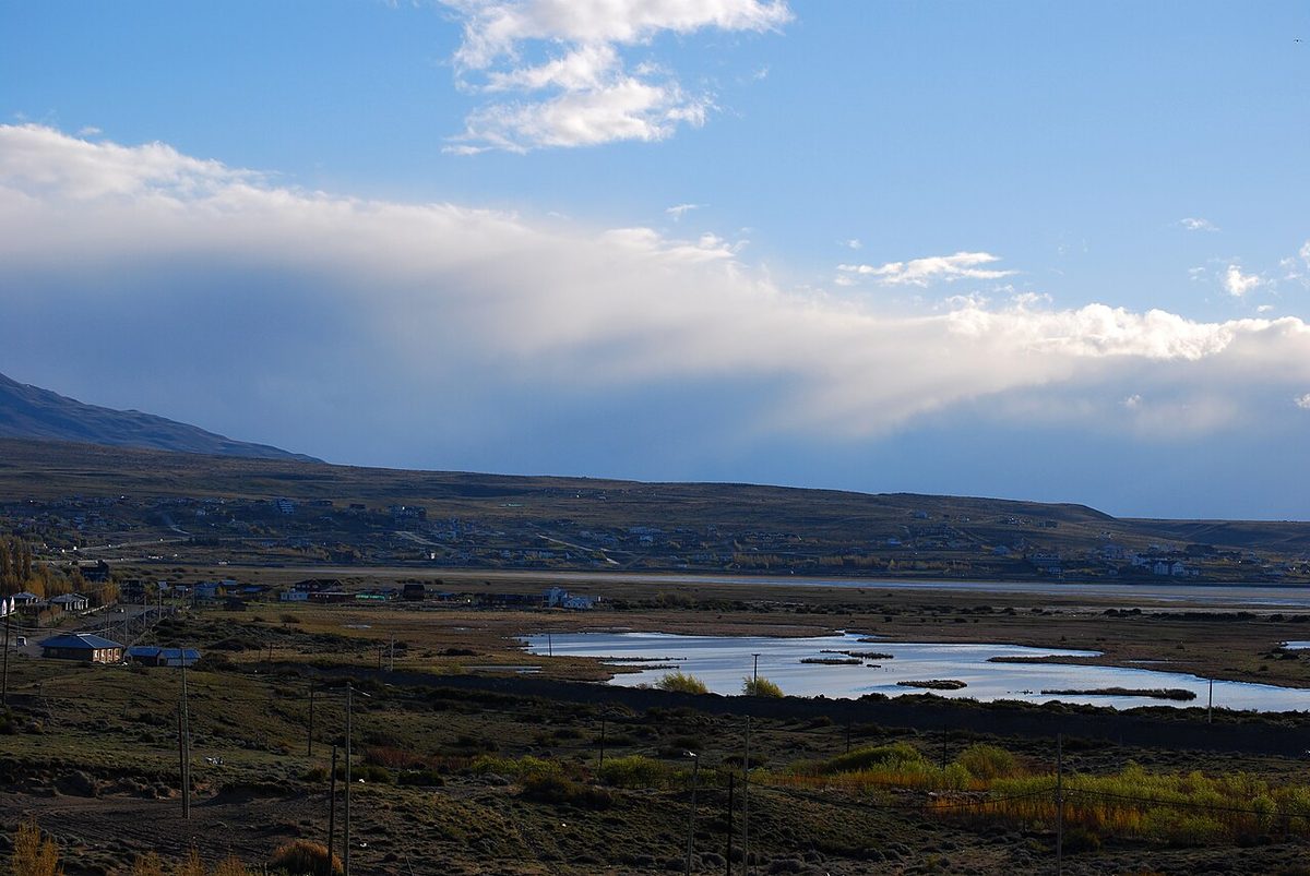 Birds and wetlands at the Laguna Nimez reserve in El Calafate, Patagonia