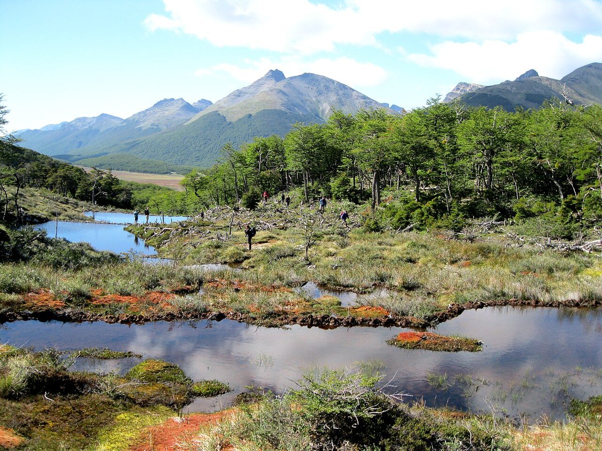 Emerald glacial water of Laguna Esmeralda below snow-streaked peaks near Ushuaia
