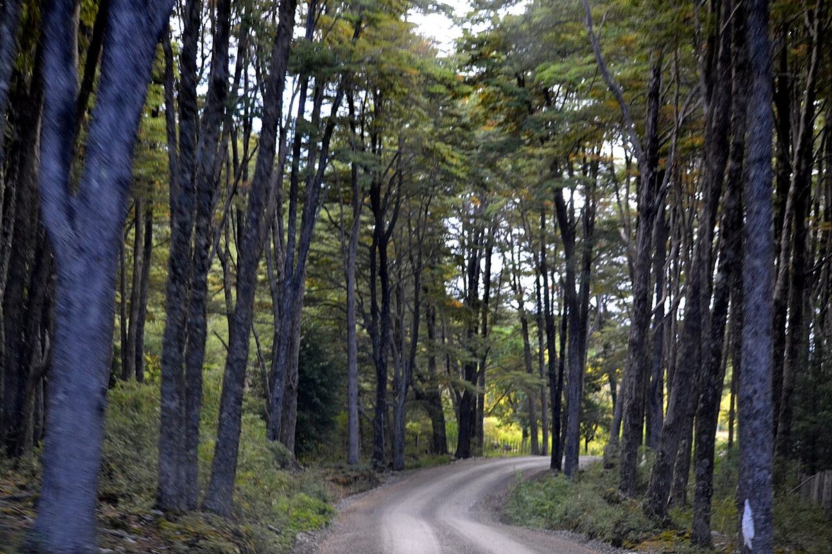A gravel section of the Carretera Austral winding through Patagonian mountains, the road many travelers come to drive Carretera Austral end to end