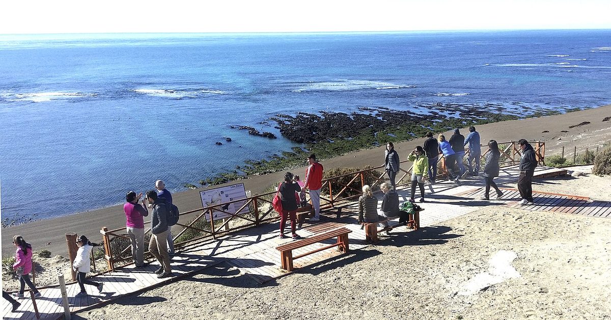 The Punta Norte point on Peninsula Valdes, the main lookout for watching orcas hunt sea-lion pups
