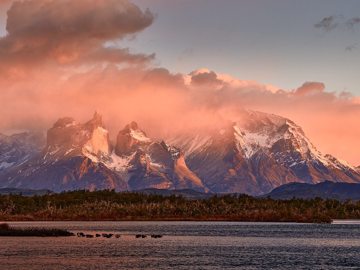 Torres del Paine granite peaks above the steppe where ethical puma tracking takes place