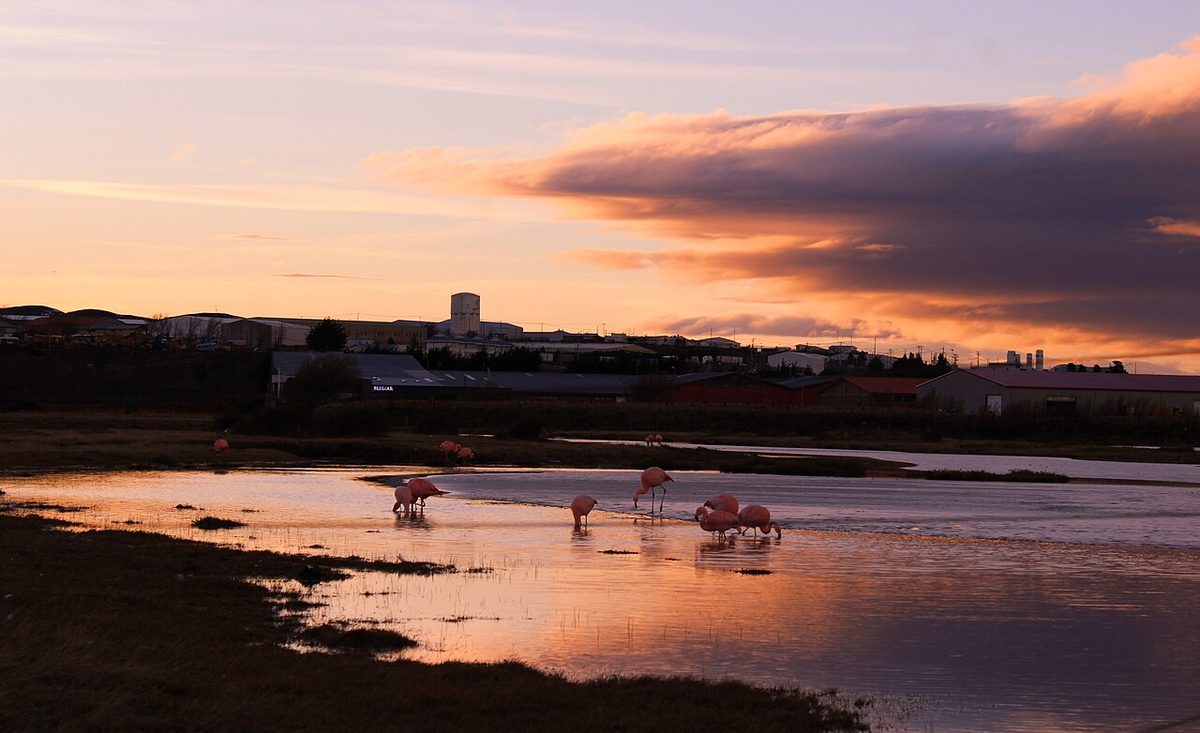 Punta Arenas waterfront on the Strait of Magellan, the southern gateway for the Punta Arenas to Puerto Natales route