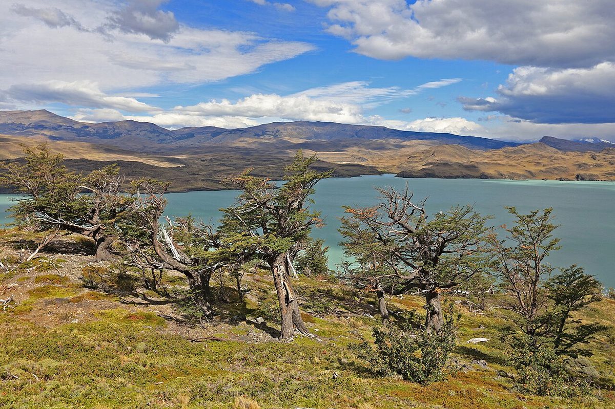 Lago Nordenskjold in Torres del Paine, the water view commanded by the park's premium lodges