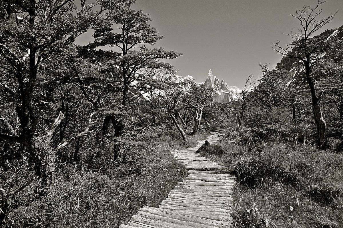 Cerro Torre above El Chalten, the Fitz Roy massif where icefield weather arrives without warning and waterproof-breathable layers beat water-resistant ones