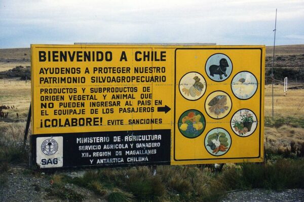 A yellow SAG Bienvenido a Chile sign in Magallanes asking travellers not to bring in plant or animal products