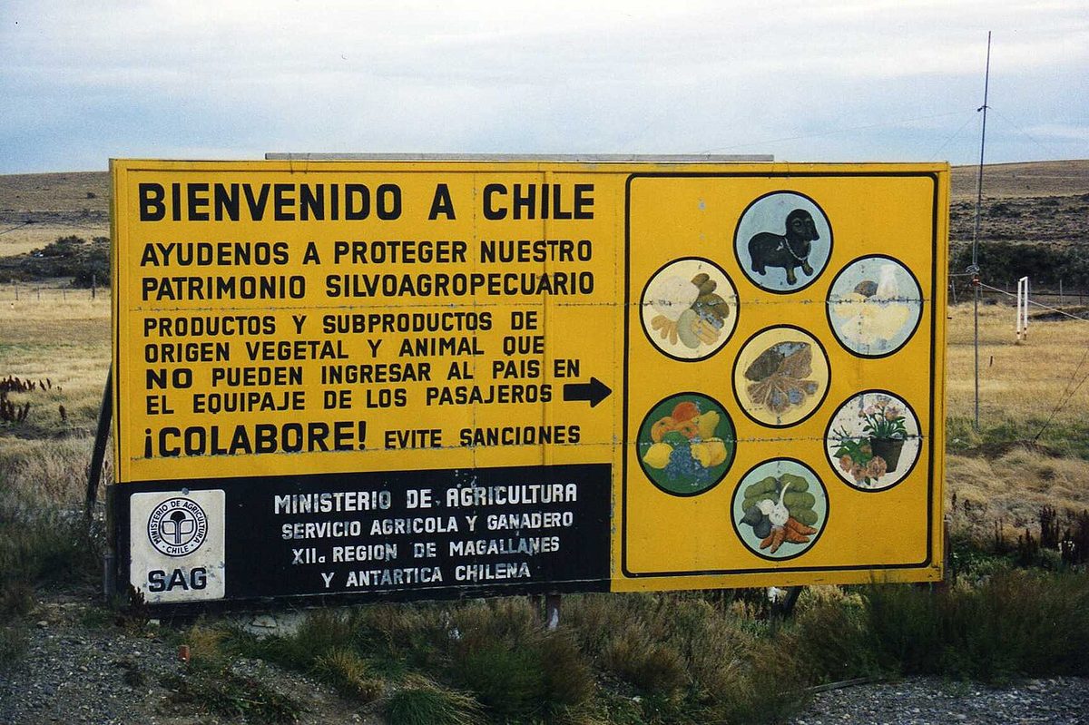 A yellow SAG Bienvenido a Chile sign in Magallanes asking travellers not to bring in plant or animal products